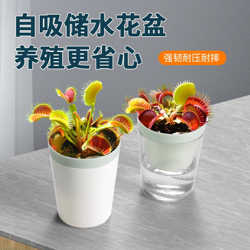懒人自动吸水花盆塑料 棉绳吸水盆 简约迷你食虫多肉透明花盆