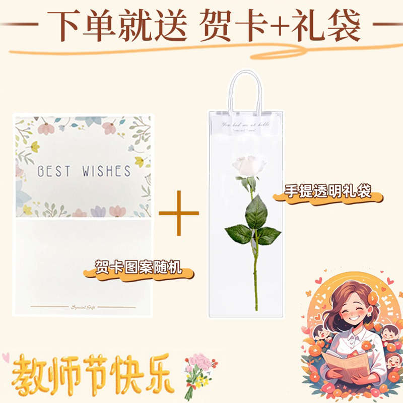 教师节礼物精致小兔子花笔雏菊绣球花束送女老师创意仿真花圆珠笔