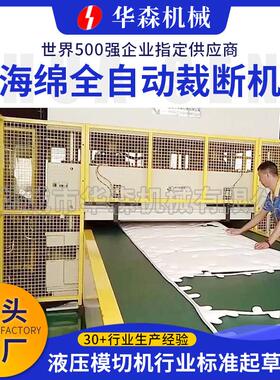 厂家供应EVA下料机海绵全自动裁断机橡胶塑料汽车内饰地毯裁断机