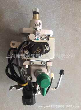 喷油泵22100-78730 196000-4910和22100-1c320和22100-78230