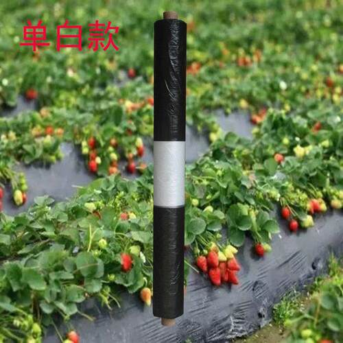 单白双白除草防草地膜保温保湿多功能黑白相间农用薄膜农作物种植