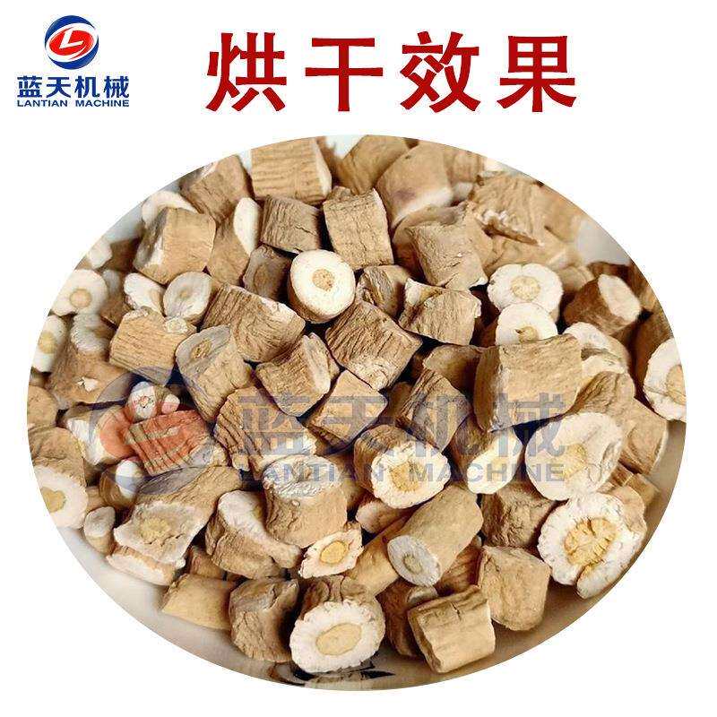 全自动板蓝根烘干机 商用大蓝根马蓝根烘干箱 全智能山蓝烘干设备