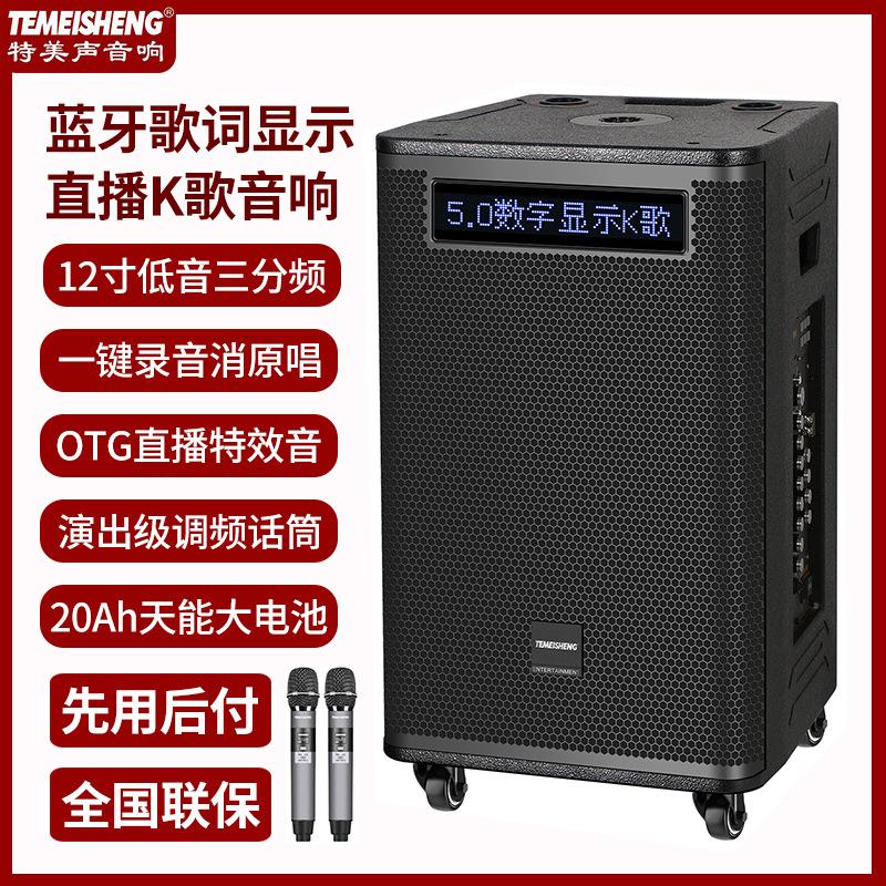 Temeisheng A6-7移动户外大功率广场舞音响网红直播K歌话筒歌词显