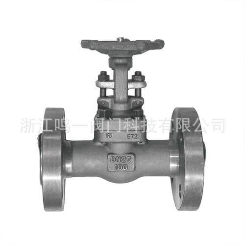 锻钢德标国标整体锻造高温铬钼钢1Cr5MoF5连体一体式法兰闸阀Z41Y
