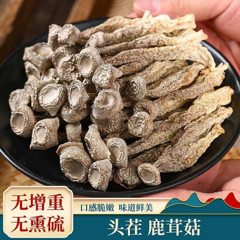 东北特产长白山鹿茸菇干货鹿茸菌非特产级特产煲汤食材蘑菇新货