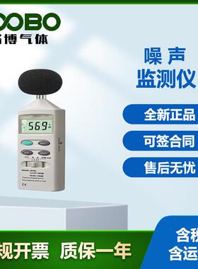 DT-8850手持式噪音计 便携式环境监测分贝计 数字式噪声监测仪