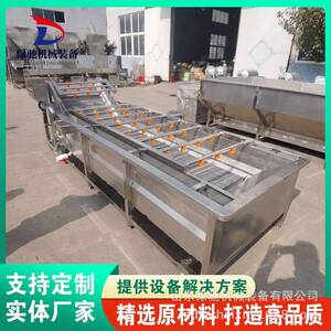 全自动果蔬气泡清洗机不锈钢全自动蔬菜清洗设备净菜加工设备