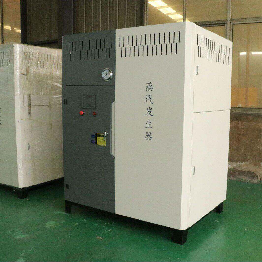 0.3吨燃气蒸汽发生器 500公斤燃气蒸发器 支持定制一吨蒸汽发生器
