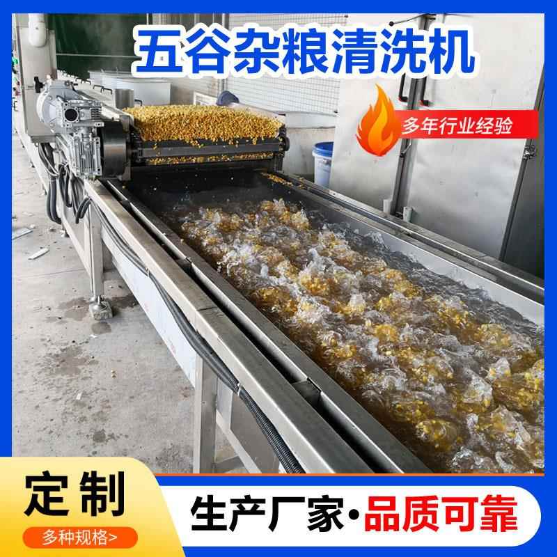 玉米粒清洗机五谷杂粮喷淋清洗机设备水浴式谷物清洗机全自动