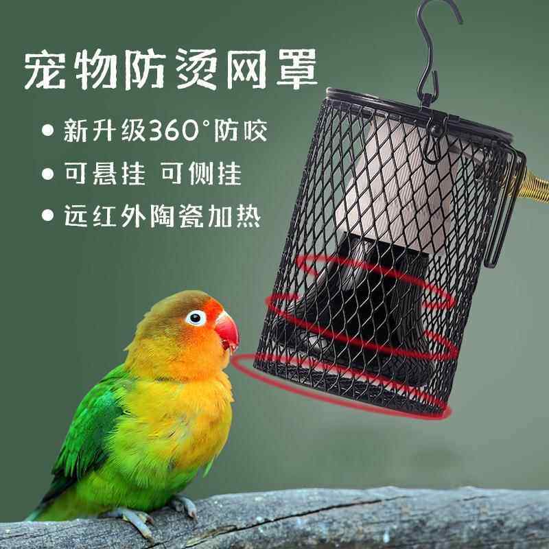 宠物鹦鹉陶瓷加热保暖灯蜥蜴乌龟取暖器防咬防烫网爬虫保温灯罩,宠物/宠物食品及用品,照明器材,淘宝优惠券,粉丝福利购,淘宝优惠卷