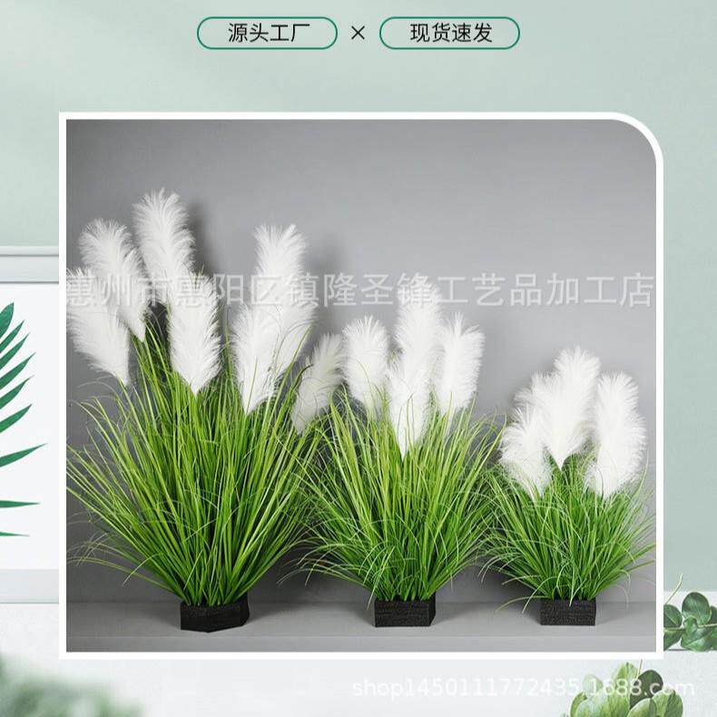 真芦苇草49749849堆蒲仿苇草仿真绿植盆栽白芦色草苇室内造景装饰