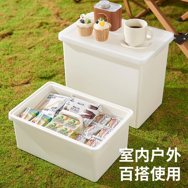 户外露营收纳箱野外大容量箱家用车载储物箱水果零食储存箱外卖箱