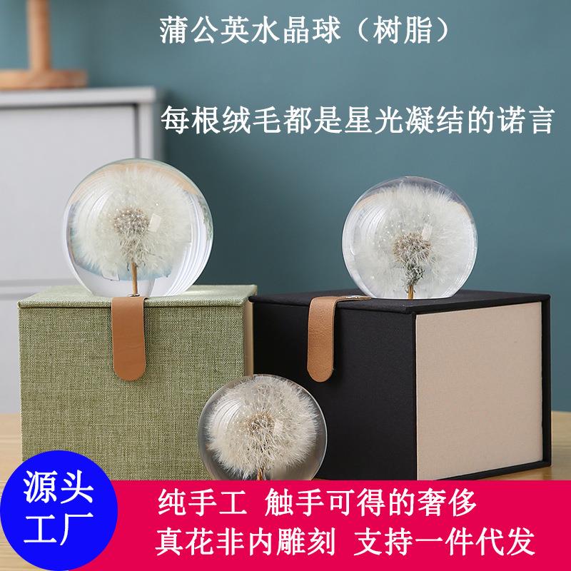 跨境盆景水晶球蒲公英摆件树脂真花标本6-9厘米情人节创意