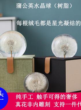 跨境盆景水晶球蒲公英摆件树脂真花标本6-9厘米情人节创意
