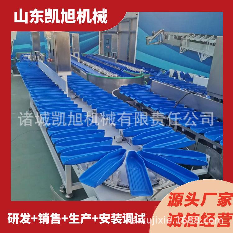 水产品TYD自量动称重分拣机器海虾鲜重分选机小黄鱼选机鱼分分级