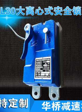 LSL30大离心式安全锁离心触发式安全锁高处作业吊篮用安全锁