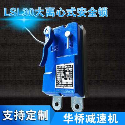 LSL30大离心式安全锁离心触发式安全锁高处作业吊篮用安全锁