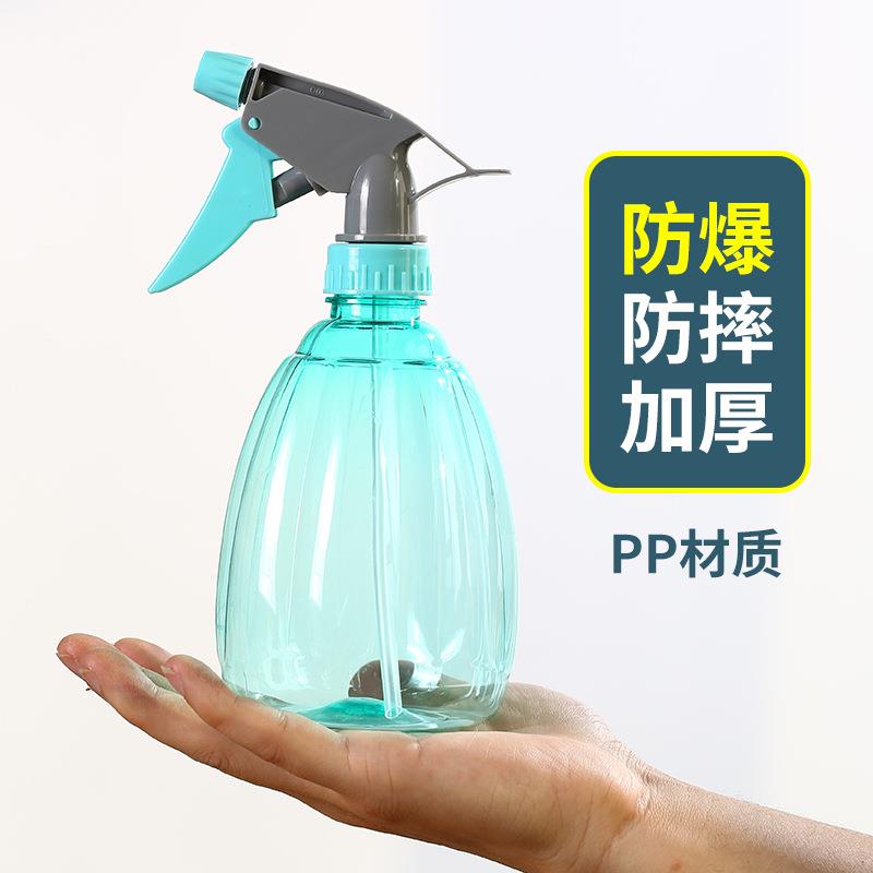 浇花喷壶园艺家用洒水壶小喷水壶喷雾器手压力花卉浇水喷雾瓶喷瓶