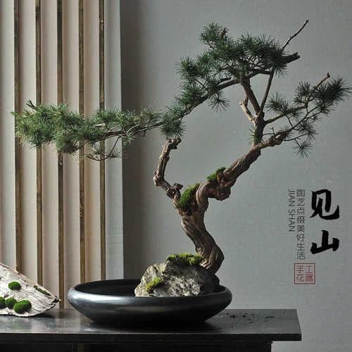 陶瓷圆盘水盘花器复古禅意中式日式插花器皿小原流剑山插花盆特大
