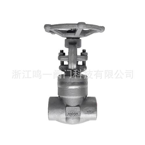 锻造体盖中部焊接承插焊闸阀2500LB中部螺纹连接承插焊接闸阀