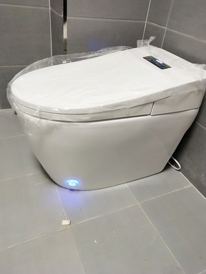 窦吢珍为大家解说易家智能马桶怎么样，选前须注意这？