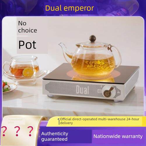 Dual帝而正品电陶炉小型煮茶器家用电茶炉欧式覆古高端煮茶器新款