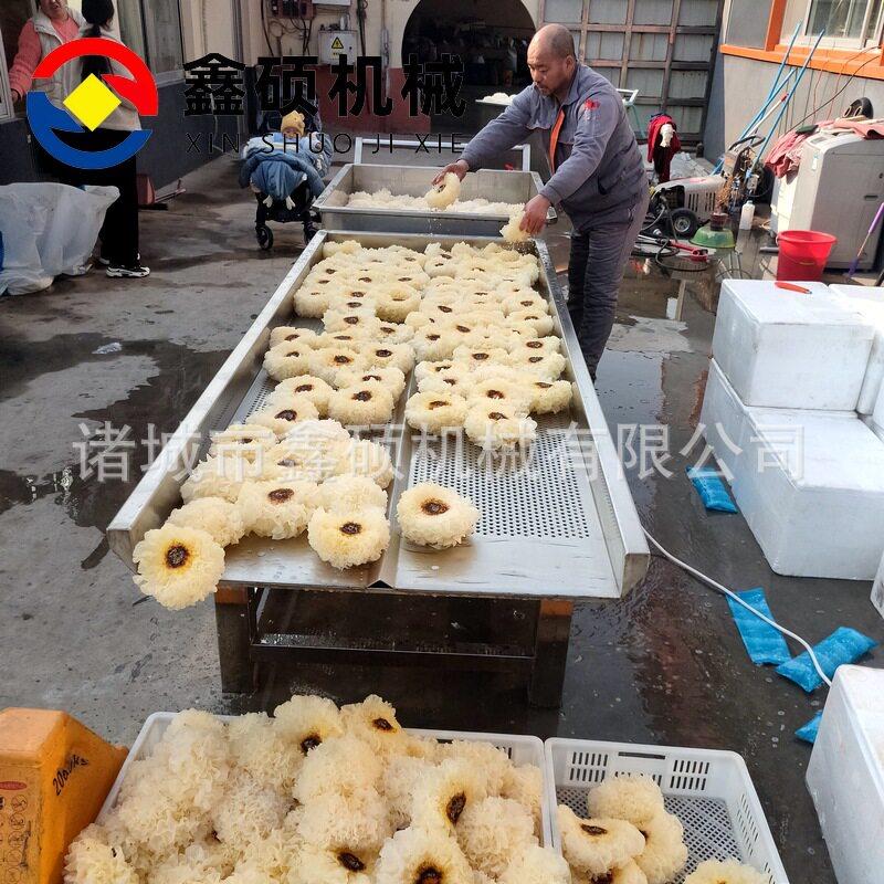 全自动直线振动筛木耳菜银耳清洗振动沥水筛塑料振动筛设备