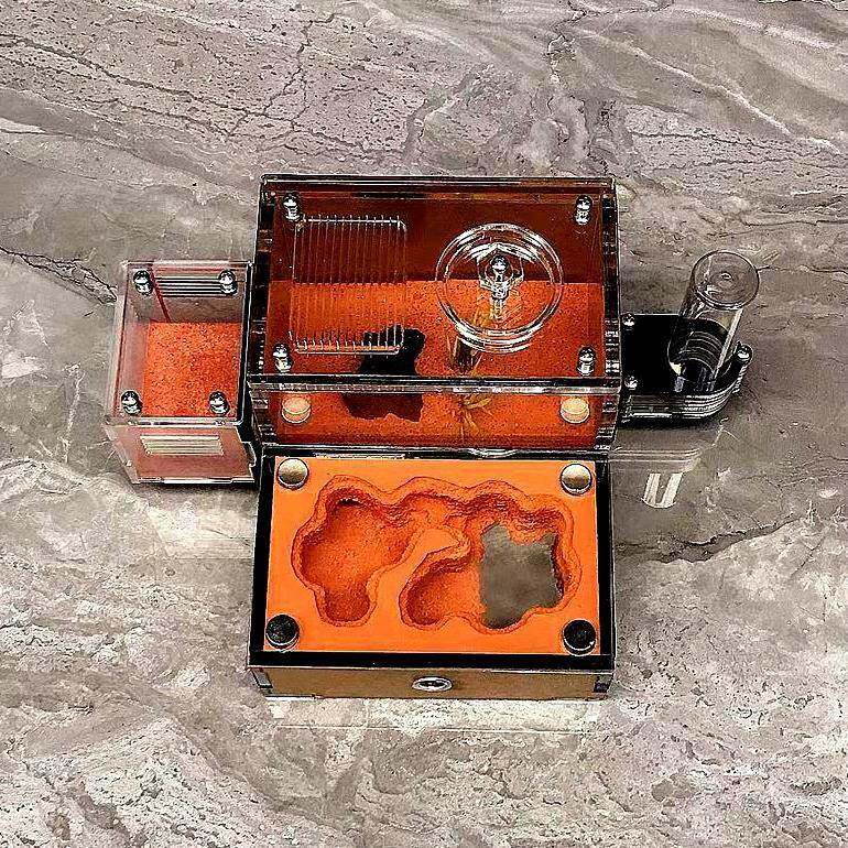 蚂蚁工坊工坊小庭苑单水塔宠物后繁殖蚁巢学校科普挖洞