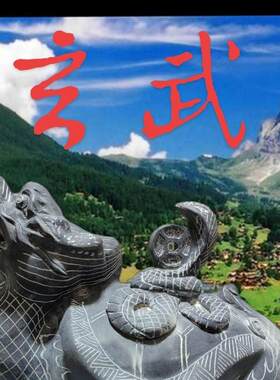 石雕玄武青石玄武龟霸蛇行天下天然石材原石摆件茶宠小石头玄武
