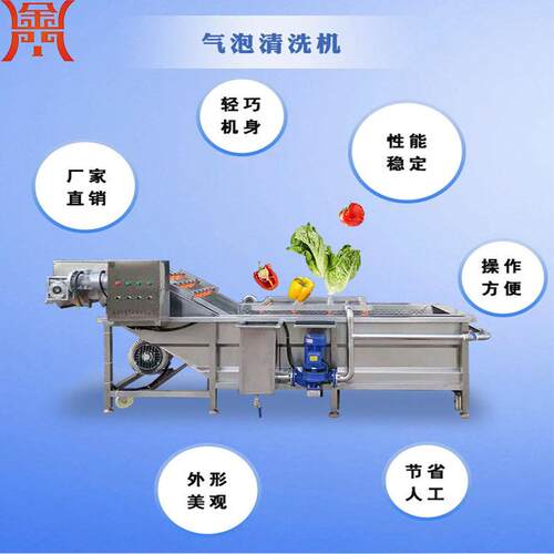 小型生姜清洗流水线鲜姜清洗去泥机喷淋清洗加工去杂干净省心