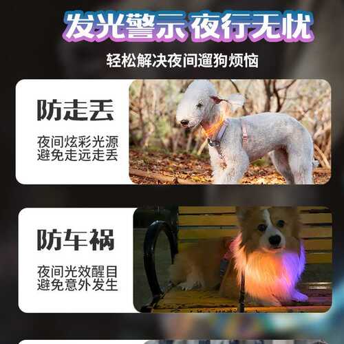 laroo莱诺狗狗发光项圈宠物夜间遛狗夜行灯大型犬防丢失小狗脖圈