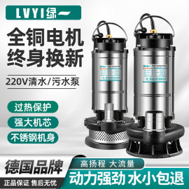 绿一潜水泵220v家用自吸高扬程(高扬程，)抽水泵农用排污泵灌溉污水泵抽水机