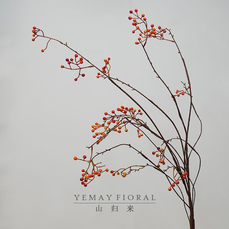 彷真浆果山归来马桑果彷真花果枝类flowers插花配材摄影道具装饰