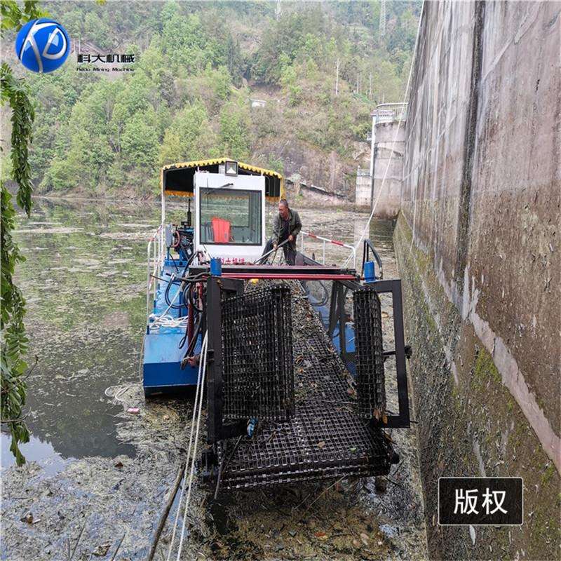 全自动水草收割船 广东水库水浮莲清理船 河里树枝树干垃圾打捞船