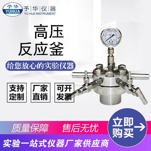厂家直销CF-0.1L0.2L0.25L0.3L0.5L简易型不锈钢高压反应釜