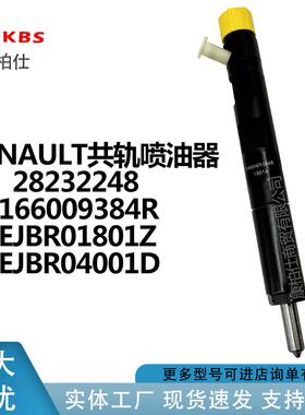 德尔福共轨喷油器28232248 166009384R EJBR01801Z EJBR04001D