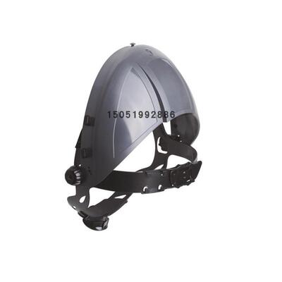 代尔塔101308前额防护面屏支架VISORH25个箱