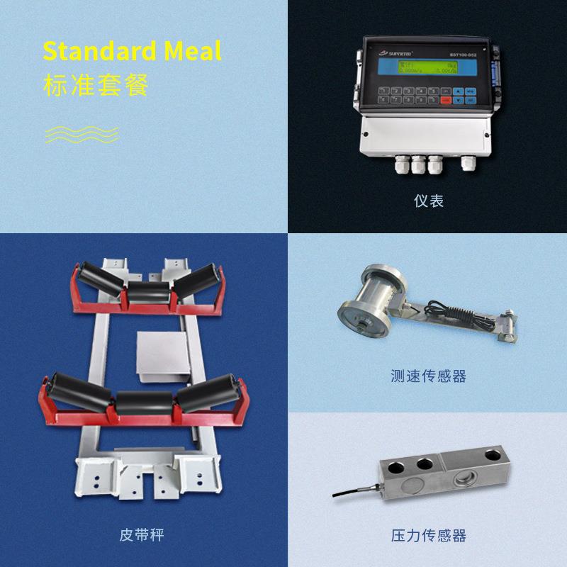 智能皮带秤称重定量控制器砂石煤粉矿石高精度电子输送秤