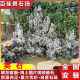广东英石英德石园林假山叠石水族青龙石大英石景观石假山流水峰石