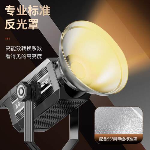 嘉维300W新款摄影灯闪光灯影室摄影棚补光灯打光灯珠宝拍照摄影灯