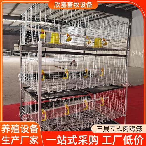 厂家肉鸡笼镀锌加粗三层四门立式肉鸡笼养殖场养鸡设备阶梯式鸡笼