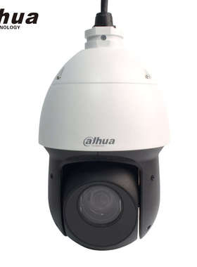 大华4寸400万像素23倍变焦POE供电星光级红外球机 DH-SD4423-DP-i