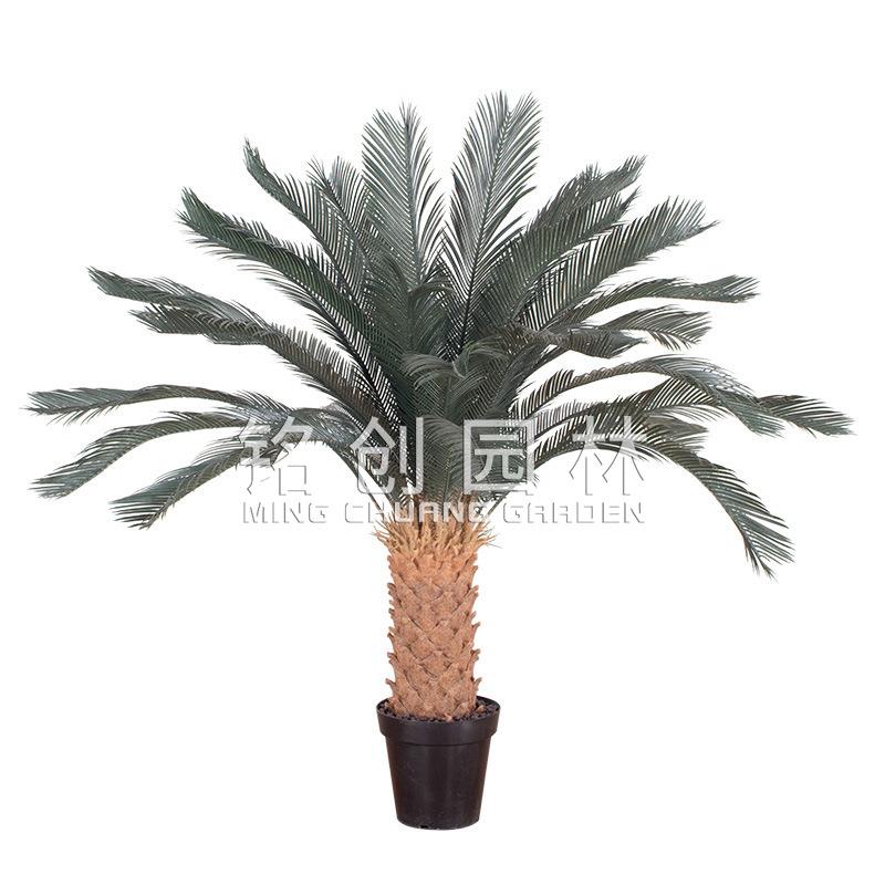 铭创苏铁人造铁树盆景室内外造景门口摆件塑料苏铁树绿植仿真绿植