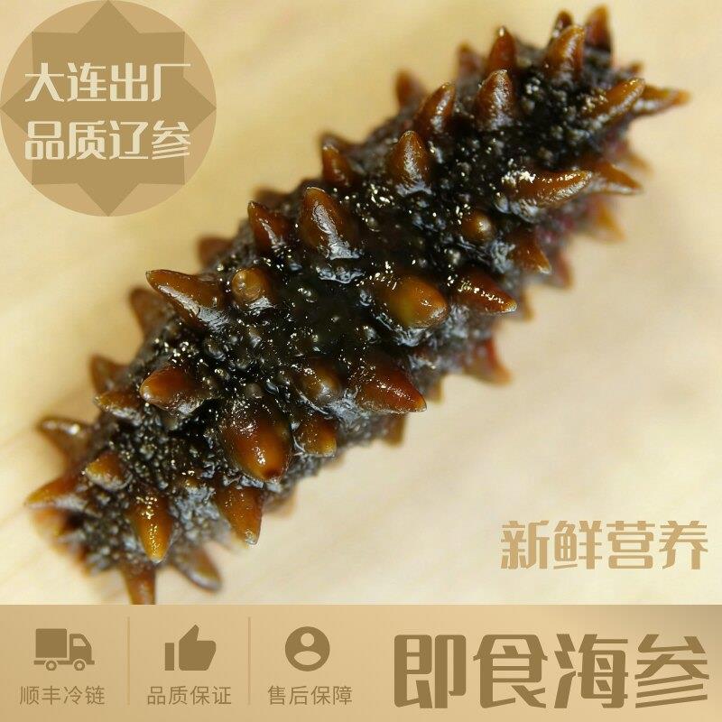 即食海参辽参刺参大连海参冰鲜冷冻活水产真空独立滋补非淡干海参