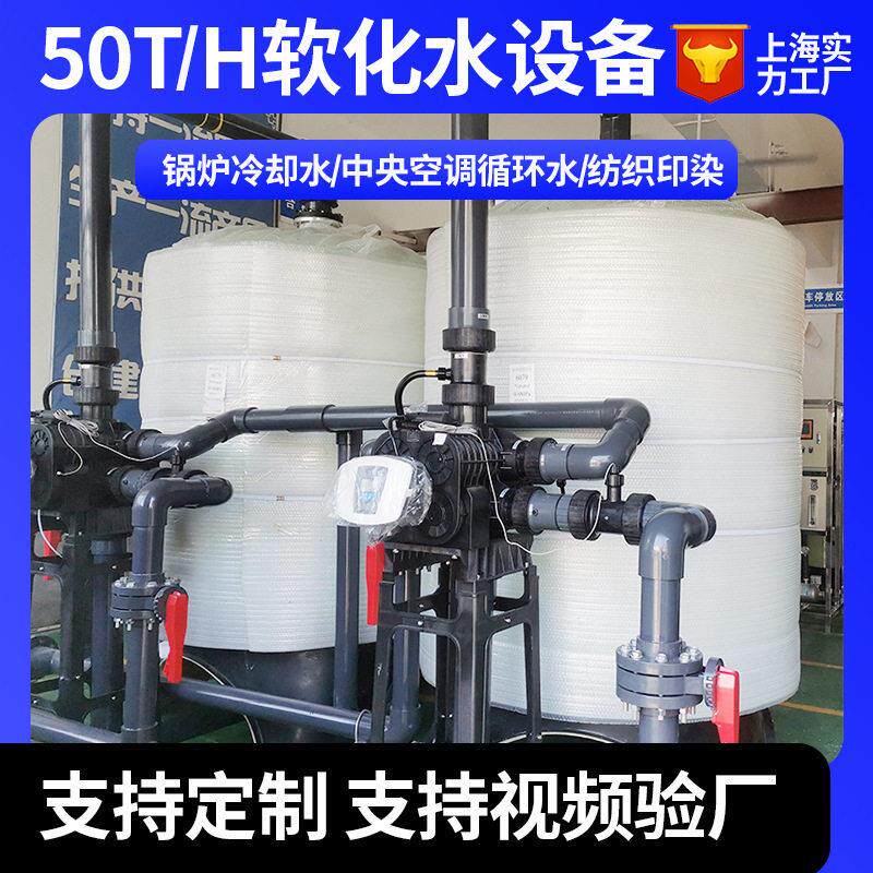 软化水设备50吨1用1备全自动软水器工业软化水钠离子交换器除水垢