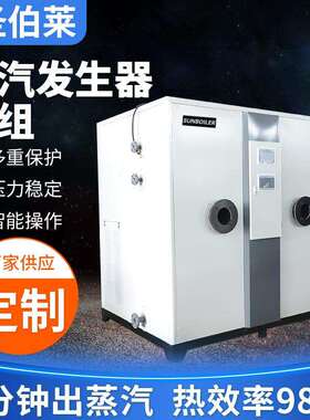 电热蒸汽发生器厂家供应服装洗涤熨烫豆制品商用双燃料蒸汽锅炉