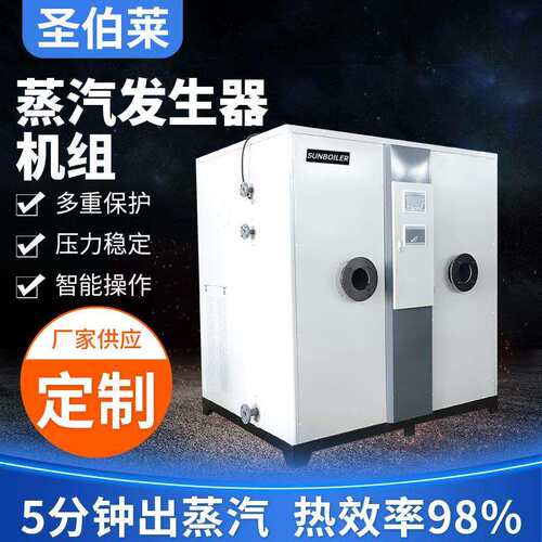 电热蒸汽发生器厂家供应服装洗涤熨烫豆制品商用双燃料蒸汽锅炉