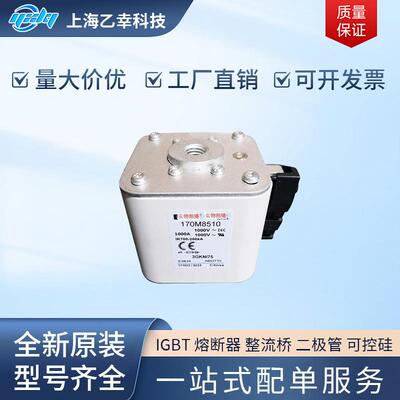 巴斯曼熔断器 170M8504 170M8505 170M8506 170M8507 170M8508