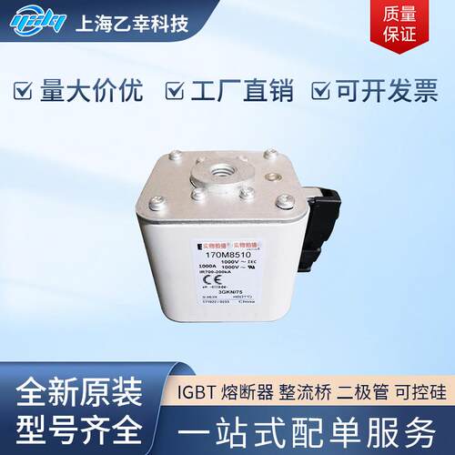 巴斯曼熔断器 170M8504 170M8505 170M8506 170M8507 170M8508