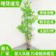 仿真奢植物南天绿竹落富贵竹盆地栽室内大型仿生植盆摆件客厅轻装